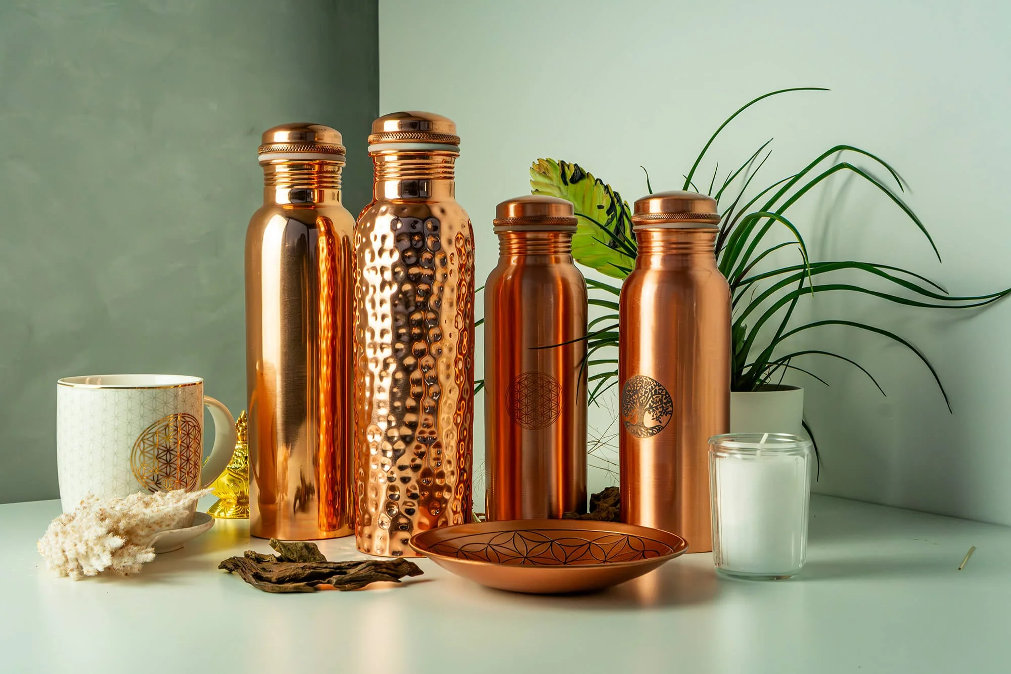 Wahrheit zeigen, Freiheit leben